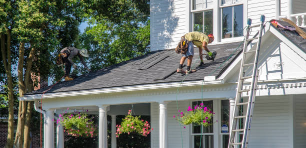 Roof Gutter Cleaning in Frankfort, IL